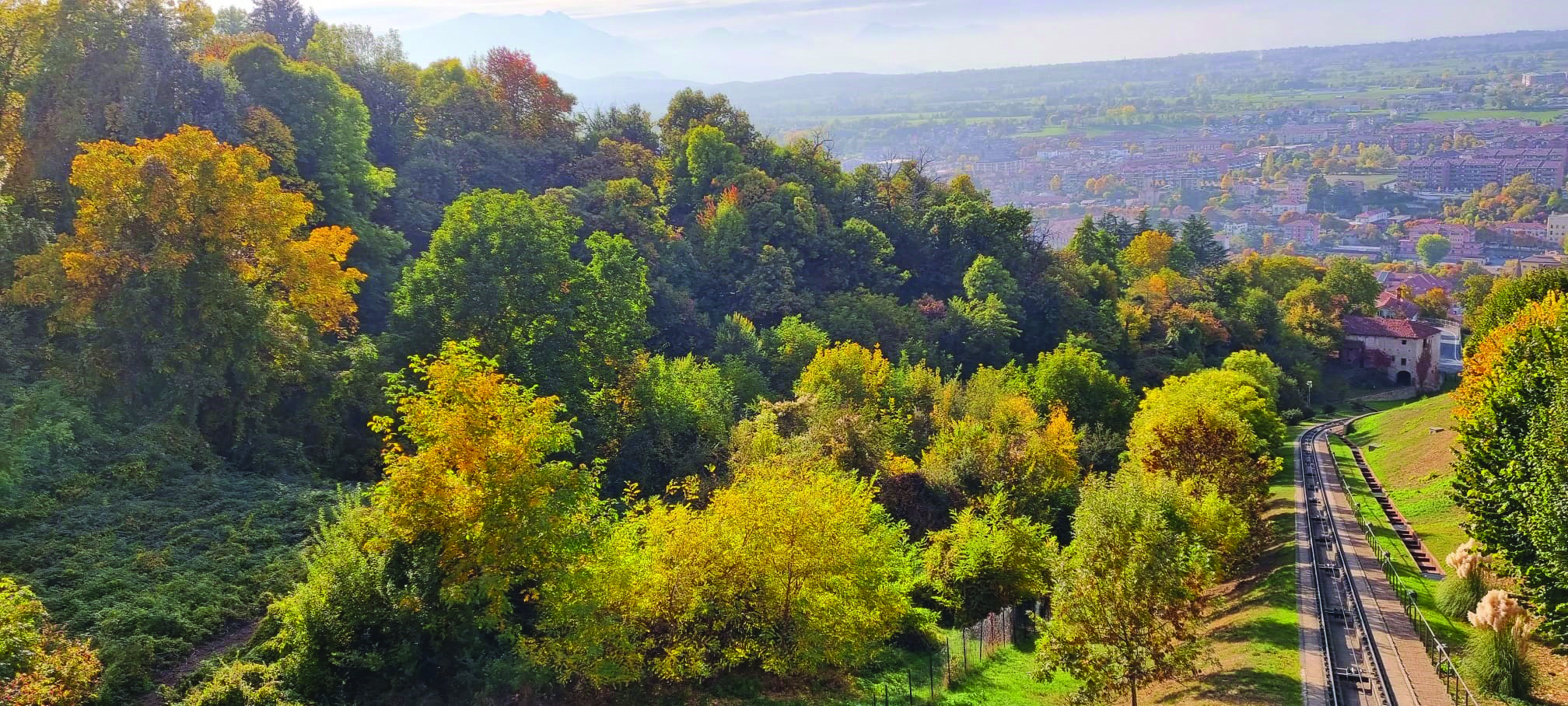 Bosco segreto Mondovì